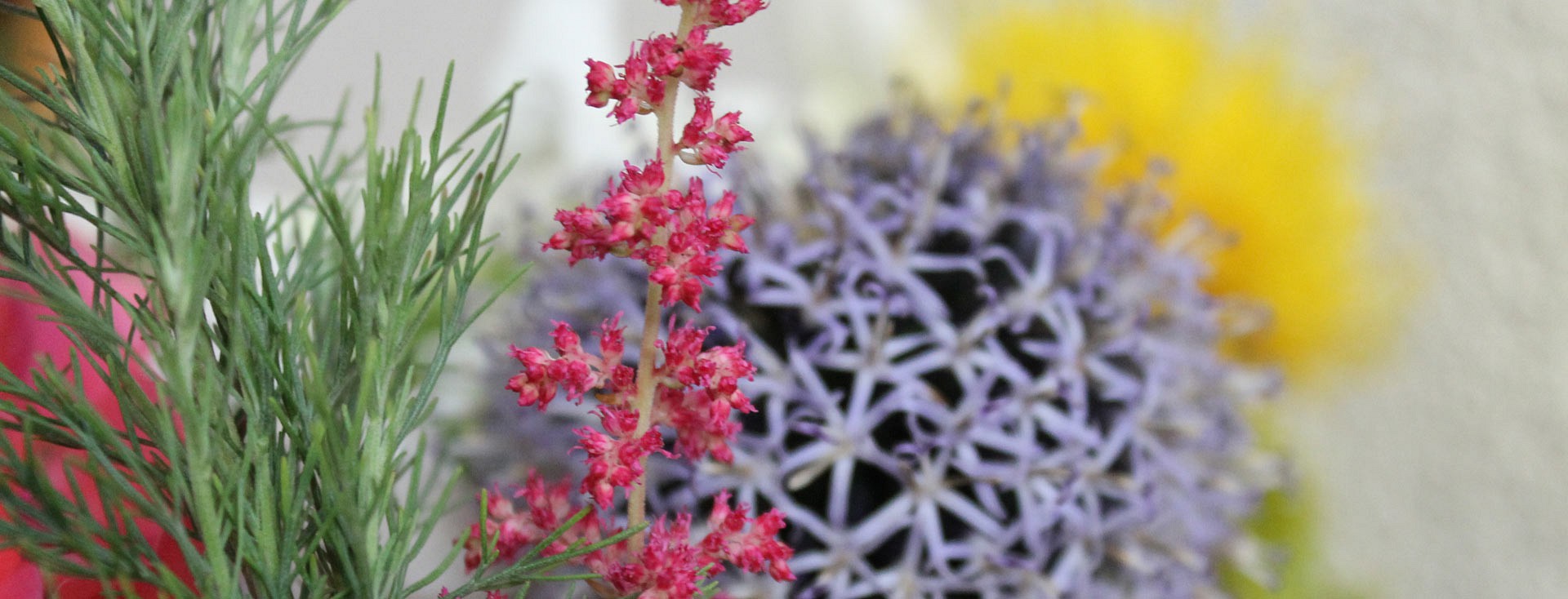 Garni Fiori